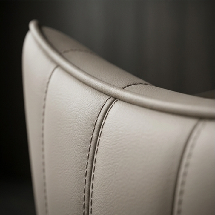 Arc Dualis Dining Chair