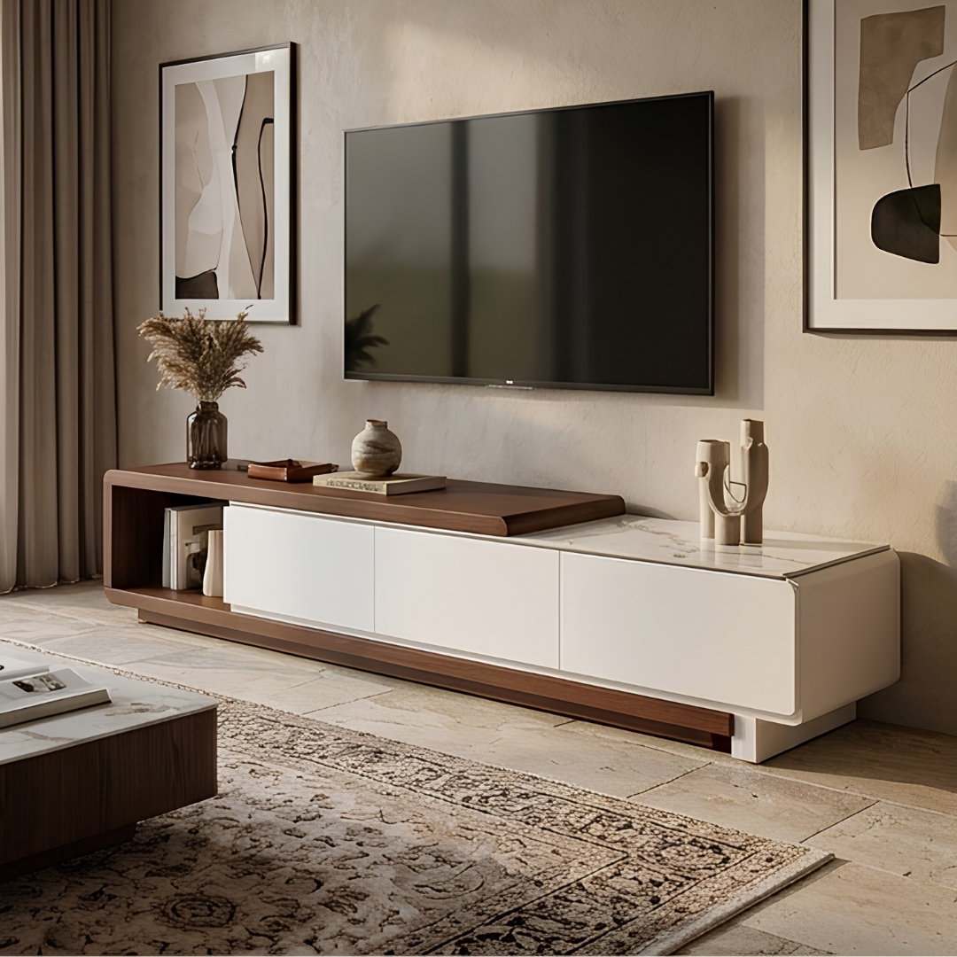 TERRA TV UNIT