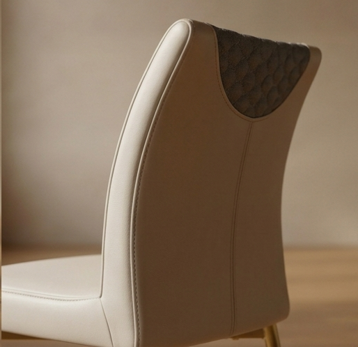 Arc Dualis Dining Chair